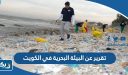 تقرير عن البيئة البحرية في الكويت
