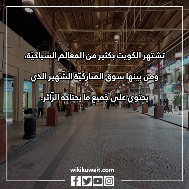 جمل عن سوق المباركية في الكويت بالصور