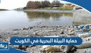 حماية البيئة البحرية في الكويت