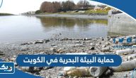 طرق حماية البيئة البحرية في الكويت طرق حماية البيئة البحرية في الكويت