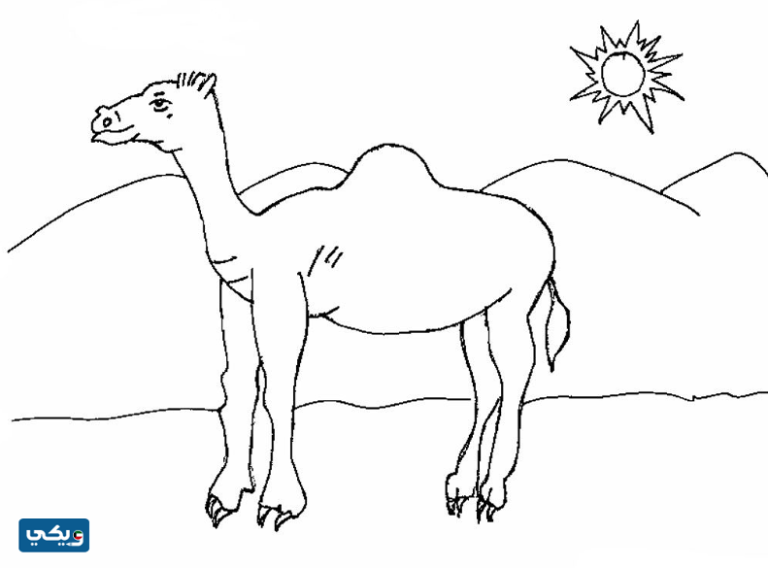 رسومات عن التراث الكويتي للتلوين