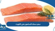 كم سعر سمك السلمون في الكويت