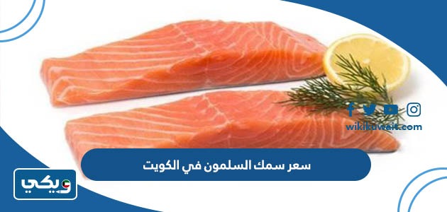 سعر سمك السلمون في الكويت