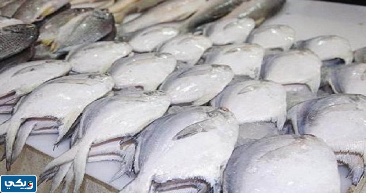 سعر سمك الزبيدي في الكويت
