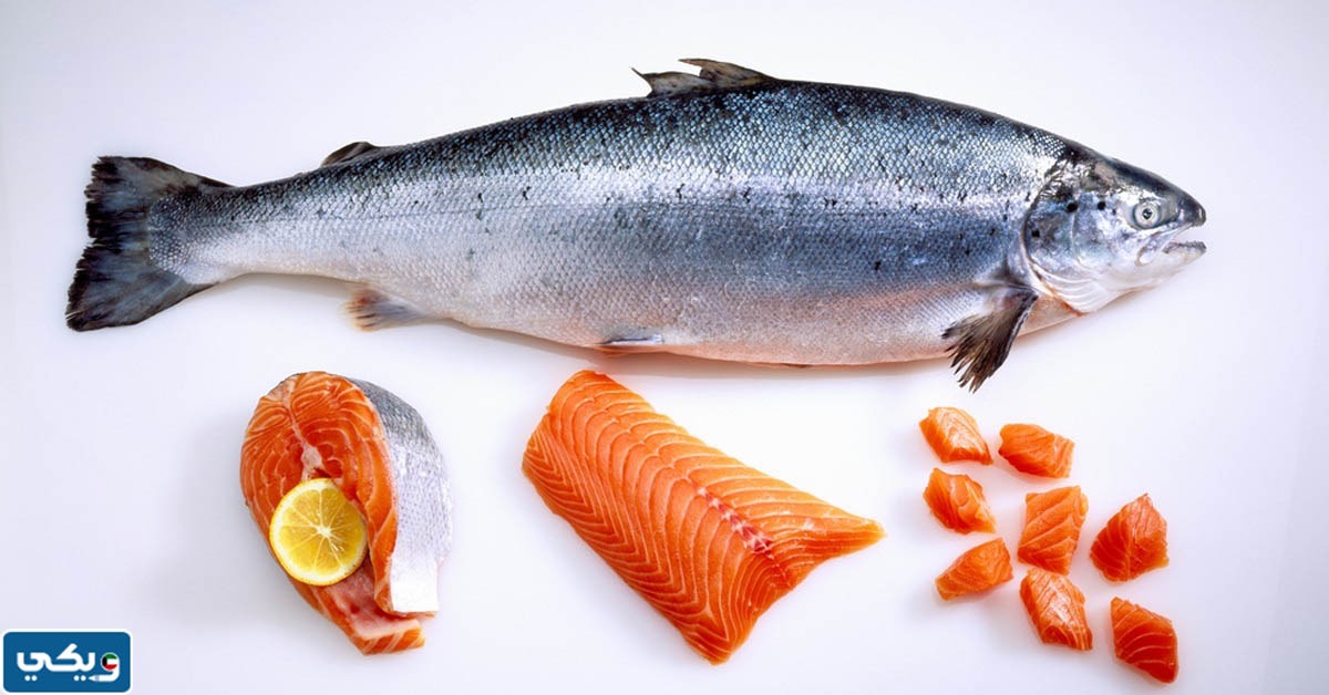 سعر سمك السلمون في الكويت