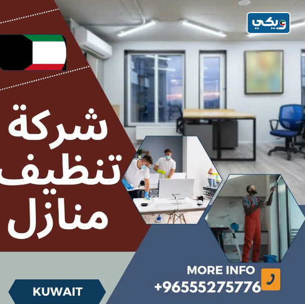 شركة المحترفون لتنظيف المنازل