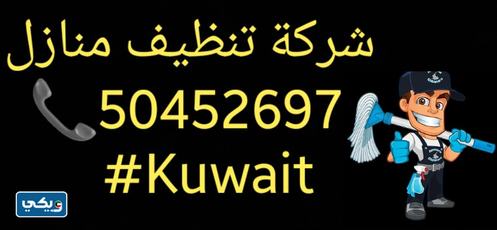 شركة تنظيف منازل