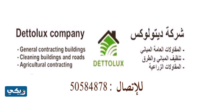 شركة ديتولوكس