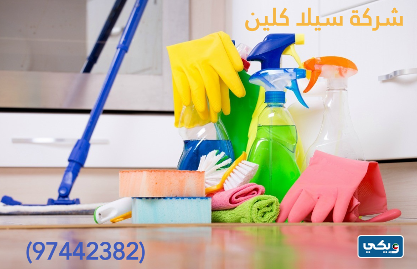 شركة سيلا كلين