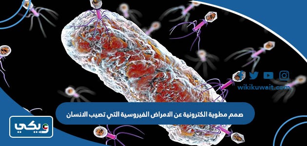 صمم مطوية الكترونية عن الامراض الفيروسية التي تصيب الانسان