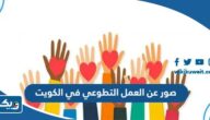 صور عن العمل التطوعي في الكويت