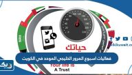 فعاليات اسبوع المرور الخليجي الموحد في الكويت 2025 “القائمة الكاملة” فعاليات اسبوع المرور الخليجي الموحد في الكويت 2025 “القائمة الكاملة”