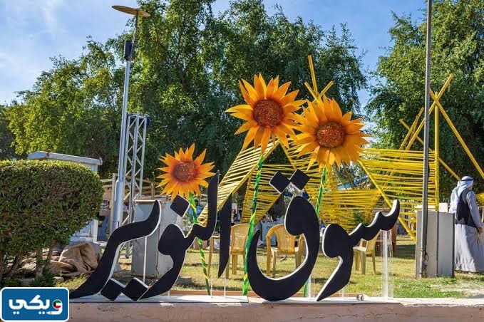 ما هو مهرجان النوير