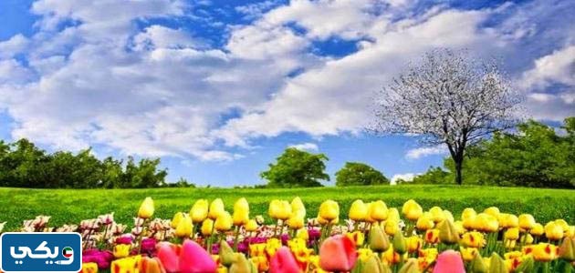 متى ينتهي فصل الربيع 2023 في الكويت