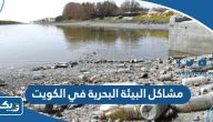 ما هي مشاكل البيئة البحرية في الكويت ما هي مشاكل البيئة البحرية في الكويت
