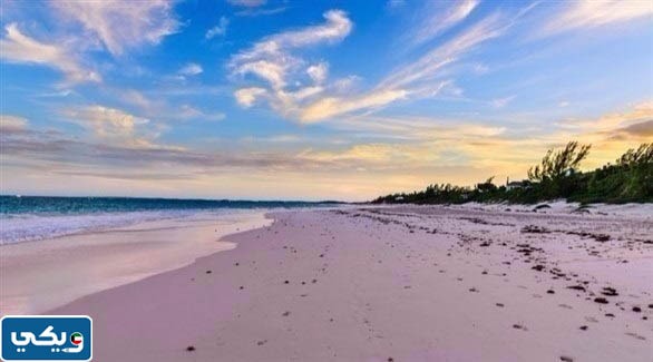 مقدمة موضوع تعبير عن البيئة البحرية في الكويت