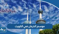 ما هو موسم الذرعان في الكويت ما هو موسم الذرعان في الكويت