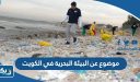 موضوع عن البيئة البحرية في الكويت