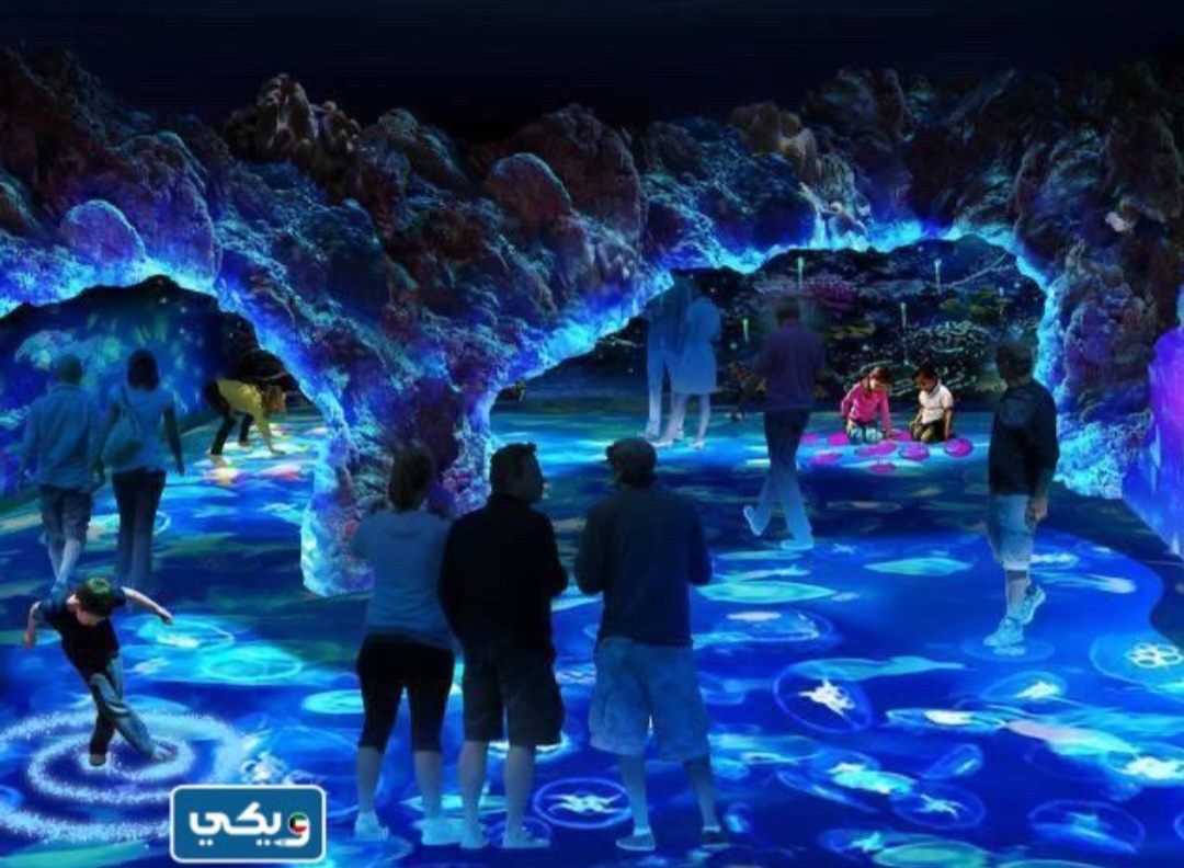 العاب ناشيونال جيوغرافيك الكويت بالصور