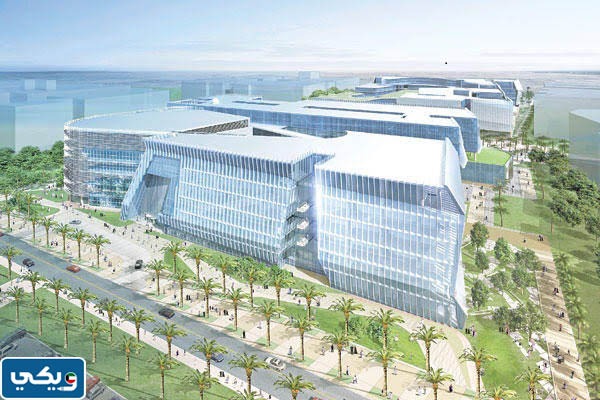 أين تقع جامعة الشدادية في الكويت