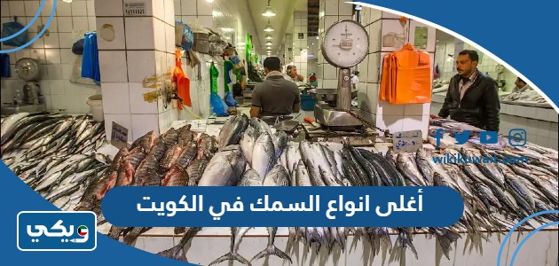 أغلى انواع السمك في الكويت