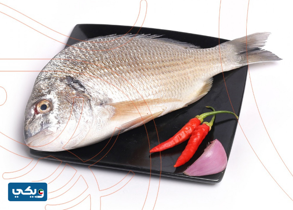 أفضل أنواع السمك في الكويت