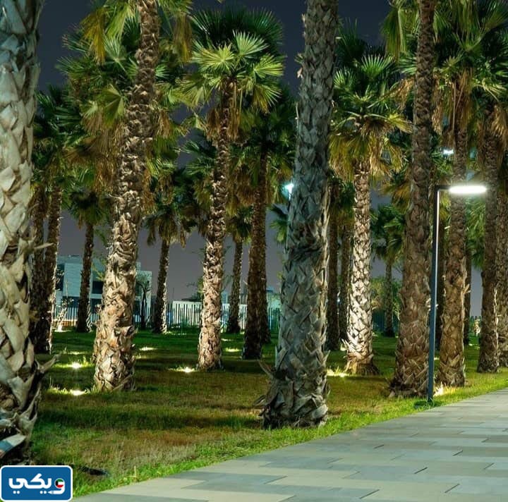 اين تقع حديقة الشهيد في الكويت