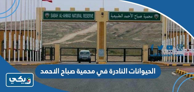 الحيوانات النادرة في محمية صباح الاحمد