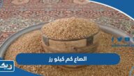 الصاع كم كيلو رز الصاع كم كيلو رز
