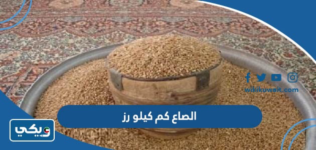 الصاع كم كيلو رز