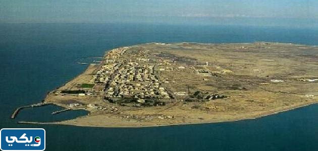 جزيرة فيلكا