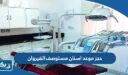 طريقة حجز موعد اسنان في مستوصف القيروان