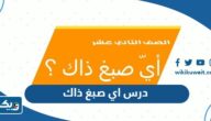 حل درس اي صبغ ذاك لغة عربية الثاني عشر الفصل الثاني حل درس اي صبغ ذاك لغة عربية الثاني عشر الفصل الثاني