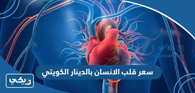 سعر قلب الانسان بالدينار الكويتي