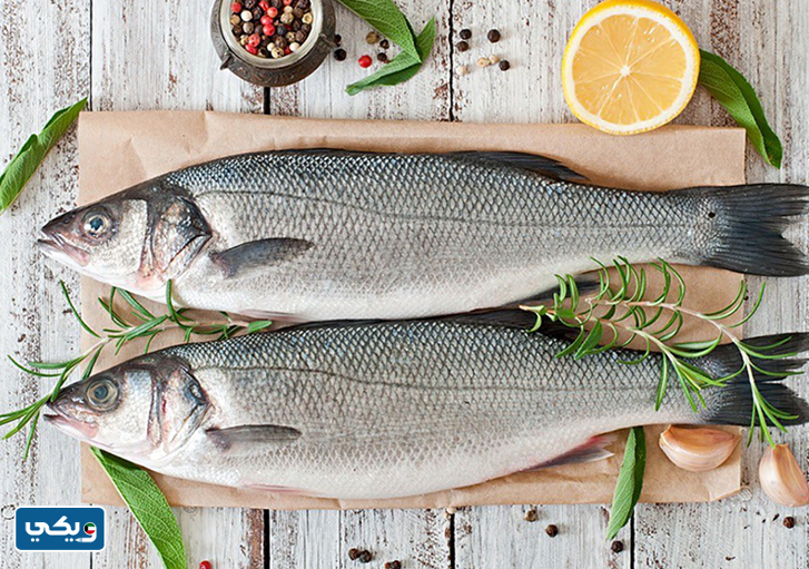 سمك السيباس