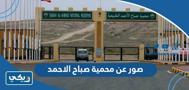 صور عن محمية صباح الاحمد