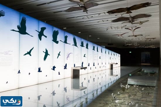 صور متاحف حديقة الشهيد في الكويت 2023 جديدة