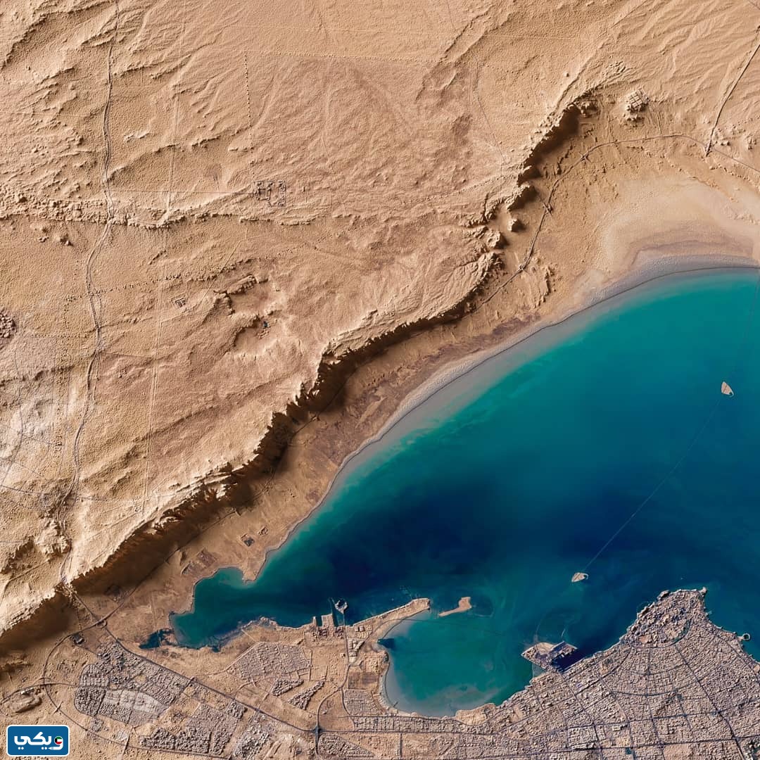 صور عن محمية صباح الاحمد