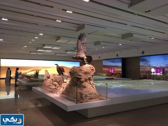 ماذا يوجد في حديقة الشهيد بالكويت