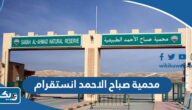 محمية صباح الاحمد انستقرام @kuwaitnaturereserve