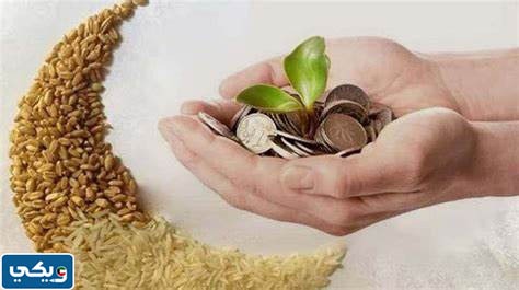 موعد إخراج زكاة الفطر بالدينار الكويتى 2023