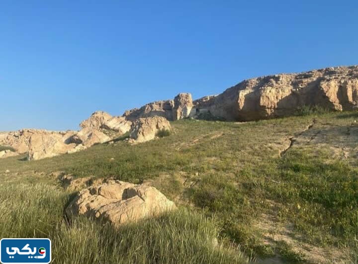 صور عن محمية صباح الاحمد