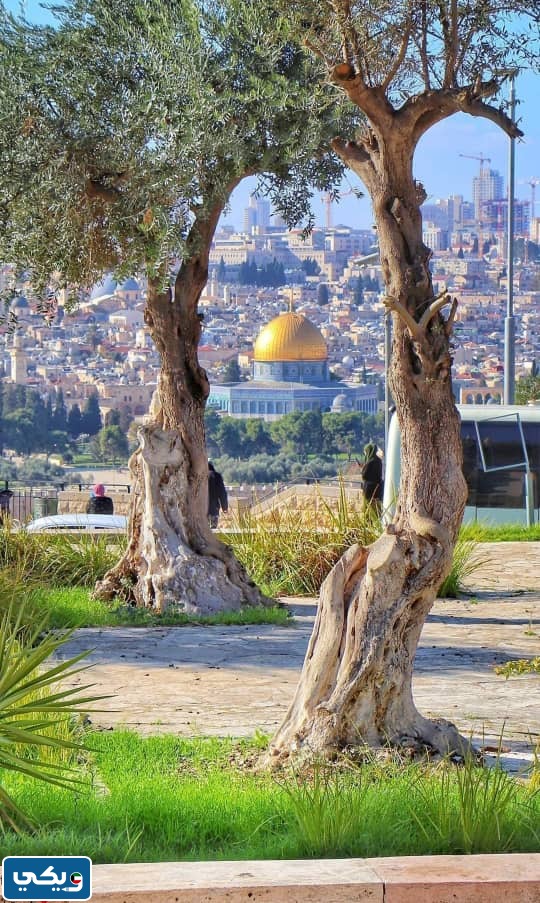 تقرير عن القدس للصف التاسع