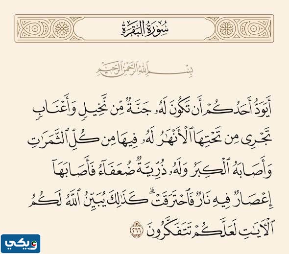 تفسير آية فأصابها إعصار فيه نار فاحترقت