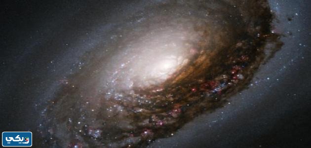 موضوع عن عجائب الله في الكون