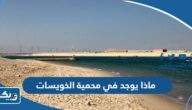 ماذا يوجد في محمية الخويسات بالكويت ماذا يوجد في محمية الخويسات بالكويت