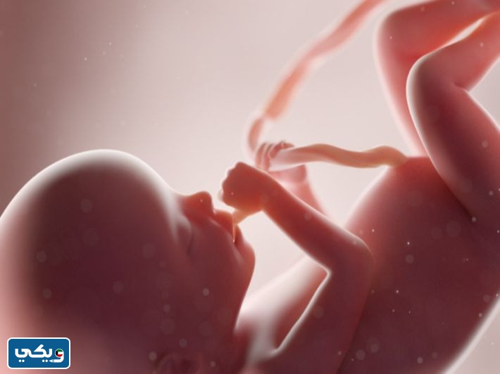 تعبير عن قدرة الله