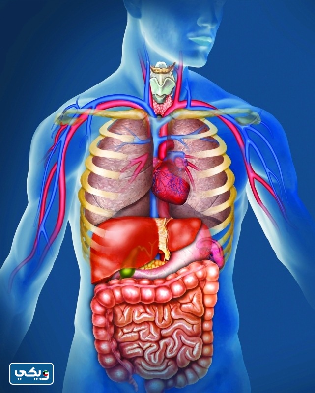 تعبير عن قدرة الله