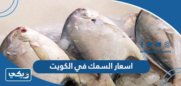 اسعار السمك في الكويت