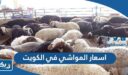 اسعار المواشي في الكويت 2026 “الدليل الكامل”